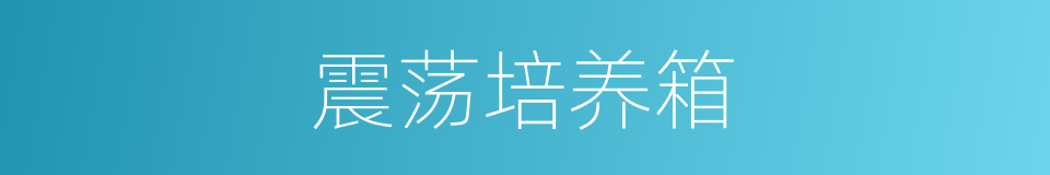 震荡培养箱的同义词