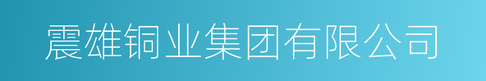 震雄铜业集团有限公司的同义词