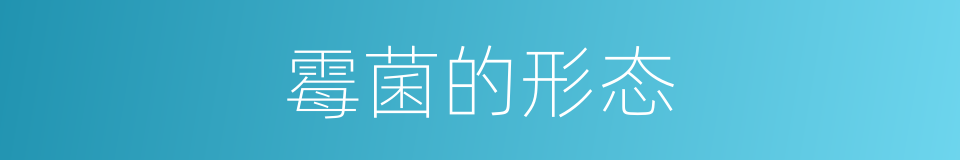 霉菌的形态的同义词