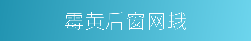 霉黄后窗网蛾的同义词