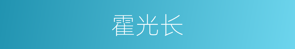 霍光长的同义词