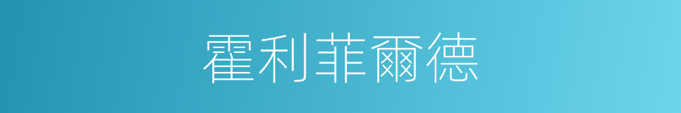 霍利菲爾德的同義詞