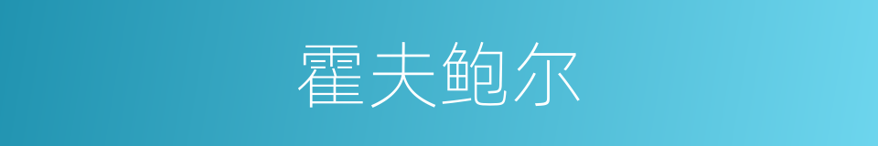 霍夫鲍尔的同义词