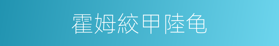 霍姆絞甲陸龟的同義詞