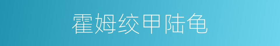 霍姆绞甲陆龟的同义词