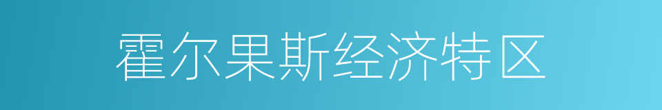 霍尔果斯经济特区的同义词