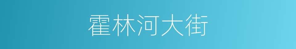 霍林河大街的同义词