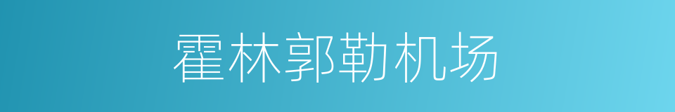 霍林郭勒机场的同义词