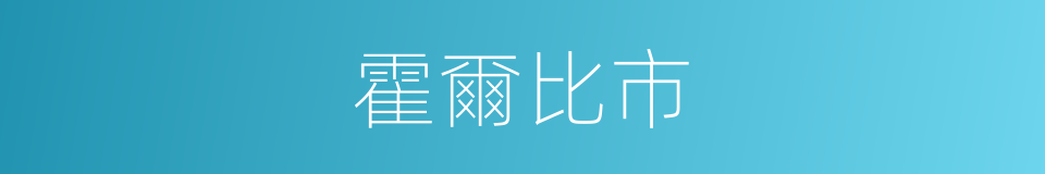 霍爾比市的同義詞