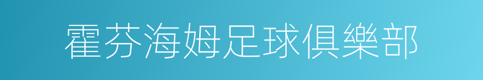 霍芬海姆足球俱樂部的同義詞