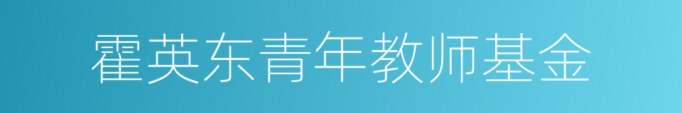 霍英东青年教师基金的同义词