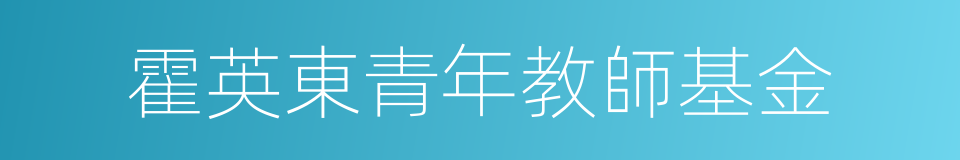 霍英東青年教師基金的同義詞