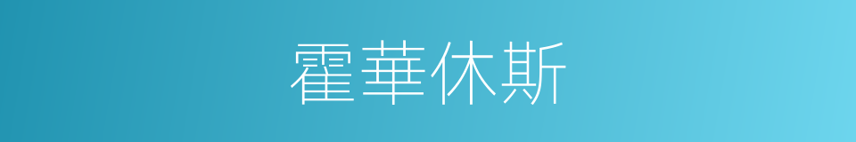 霍華休斯的同義詞