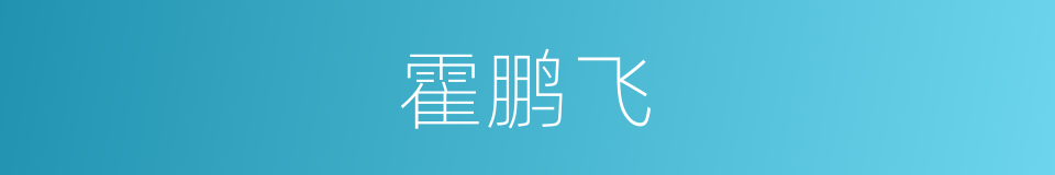 霍鹏飞的同义词