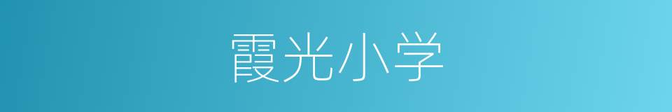 霞光小学的同义词