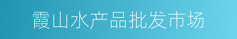 霞山水产品批发市场的同义词