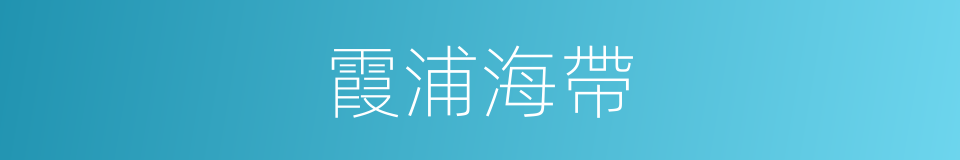 霞浦海帶的同義詞