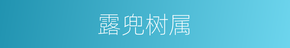 露兜树属的同义词