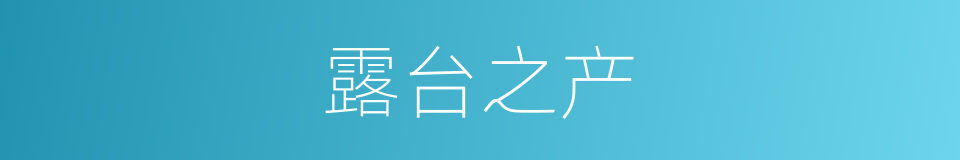 露台之产的意思
