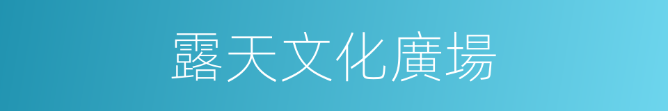 露天文化廣場的同義詞