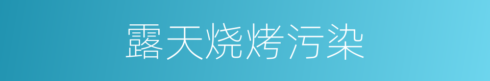 露天烧烤污染的同义词