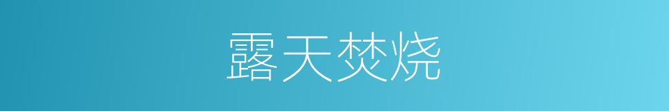 露天焚烧的同义词