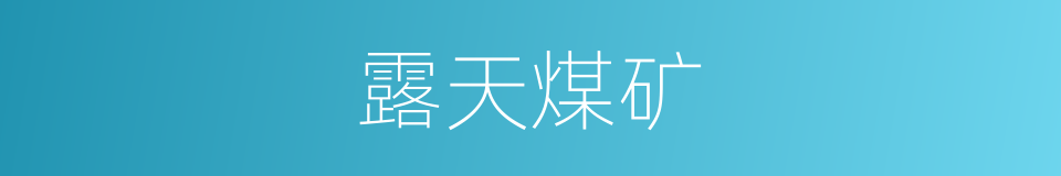 露天煤矿的同义词