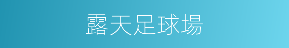 露天足球場的同義詞