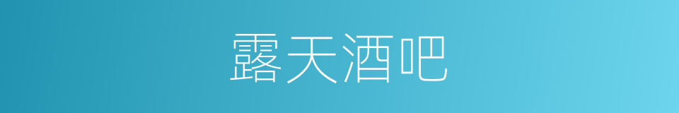 露天酒吧的同义词