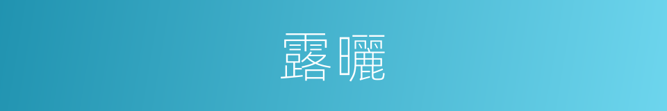 露曬的同義詞