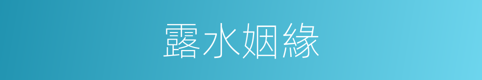 露水姻緣的意思