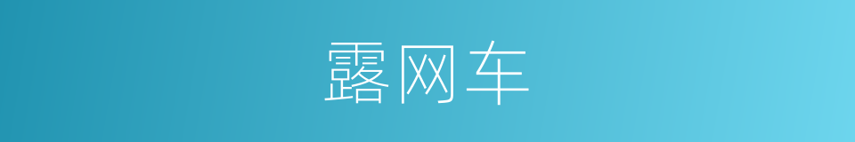 露网车的同义词