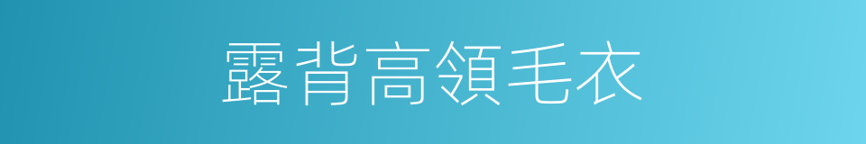 露背高領毛衣的同義詞