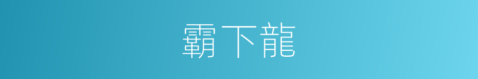 霸下龍的同義詞