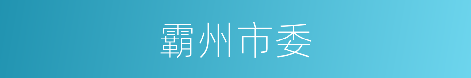 霸州市委的同义词