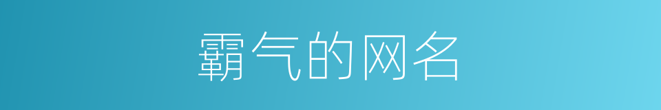 霸气的网名的同义词