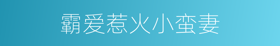 霸爱惹火小蛮妻的同义词