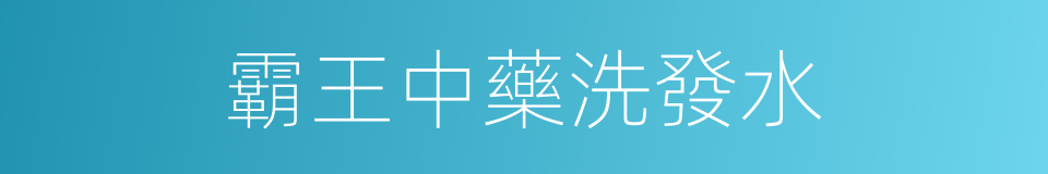 霸王中藥洗發水的同義詞