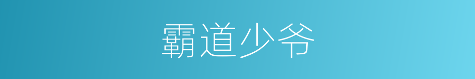 霸道少爷的同义词