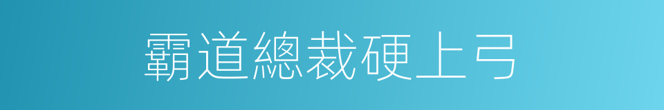 霸道總裁硬上弓的同義詞