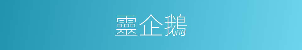 靈企鵝的同義詞