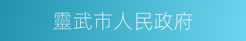 靈武市人民政府的同義詞