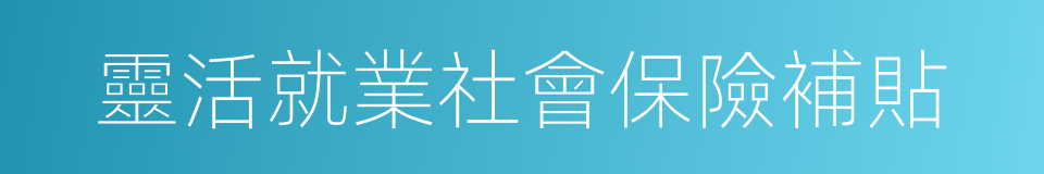 靈活就業社會保險補貼的同義詞