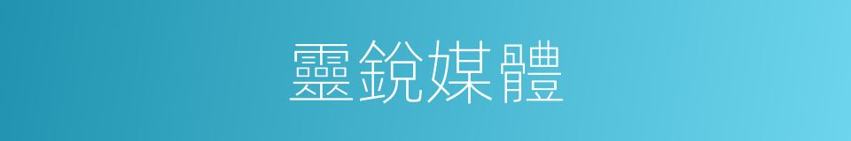 靈銳媒體的同義詞