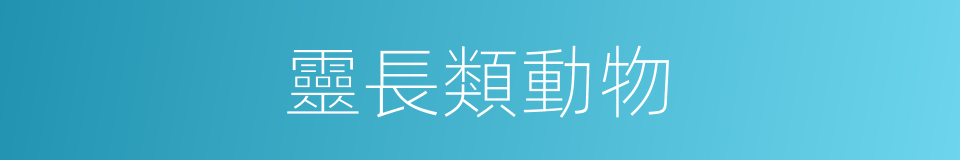 靈長類動物的同義詞