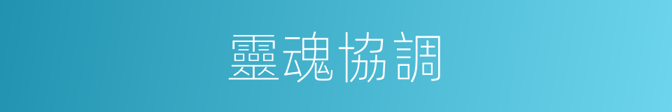 靈魂協調的同義詞