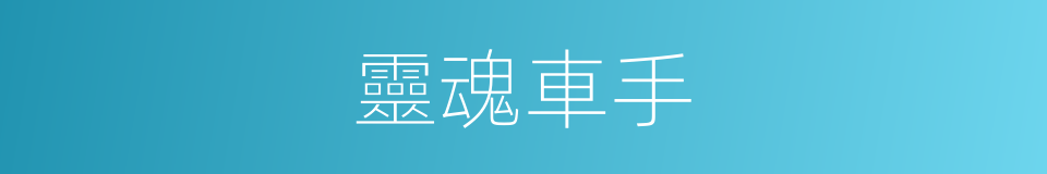 靈魂車手的同義詞