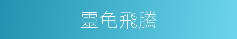 靈龟飛騰的同義詞