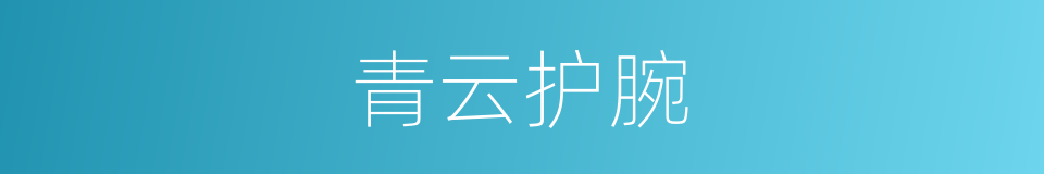 青云护腕的同义词