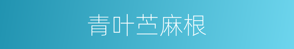 青叶苎麻根的同义词